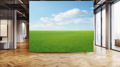 field on a background of the blue sky Wall mural