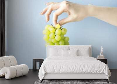 Fresh and tasty / Creative concept photo of hand holding branch of grapes on blue background. Wall mural