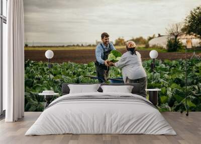 Two diverse workers on the farm pass a crate full of fresh raw veggies and work on a farm together. Wall mural