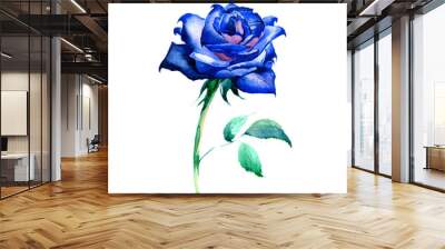 the new view of roses watercolor hand drawn for post card isolated on the white background Wall mural