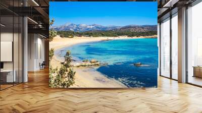 Aliko beach on Naxos island, Cyclades in Greece Wall mural