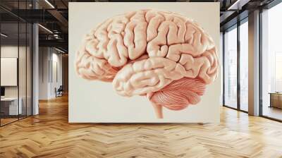 Human brain model on beige background, educational Wall mural