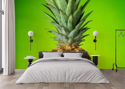 Large ripe pineapple, on green, closeup Wall mural