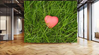 Little red heart lying on green grass Wall mural