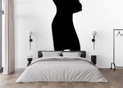 black standing business woman silhouette isolated on white background	 Wall mural