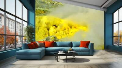 crystallization of minerals Wall mural