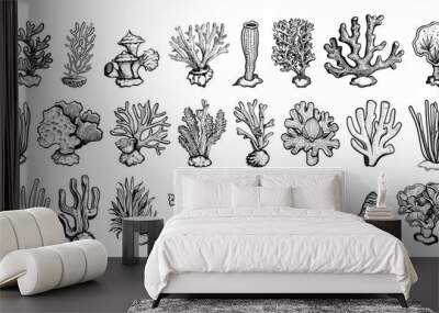 Doodle style different corals icons set. Low detailed line sketch with crisp contours on a white background. Coral reef elements hand drawn simple style black icons Wall mural