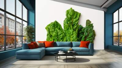 Bunch of rainbow swiss chard leaves on beige stone table. Top view of yellow, orange, red and green fresh swiss chards. Wall mural