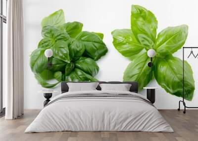 A fresh Basil and Basil Power isolated on white Wall mural