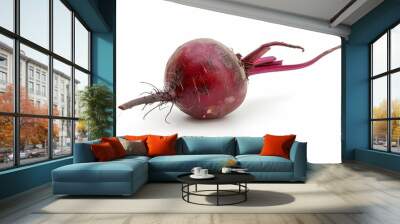 A fresh Beetroot isolated on white Wall mural