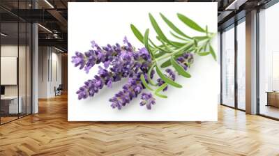 A fresh Lavender isolated on white Wall mural