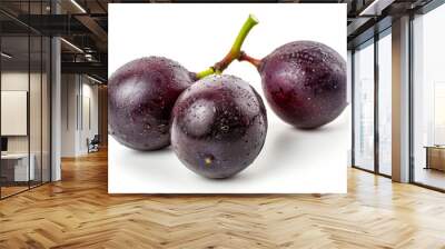 A fresh muscadine grape isolated on white Wall mural