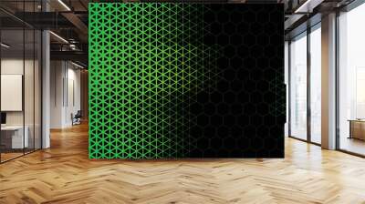 Green abstract background and black hexagon Wall mural