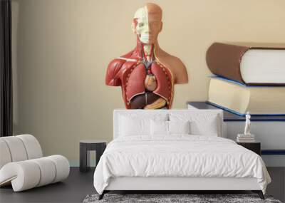 Anatomical model of the human body on the table in the office Wall mural