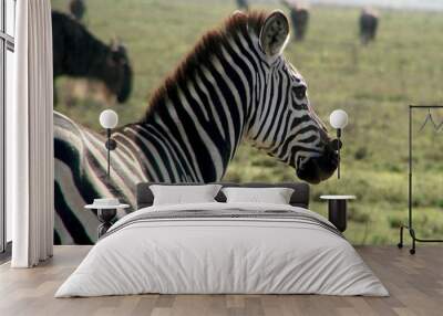 zebra 2 Wall mural