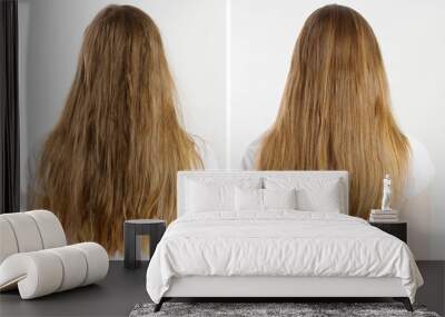 Closeup before-after unhealthy messy hair and clean brush healthy hairtype isolated on white background. Woman problem hair-type back view. Spit ends dry over-brushing hairstyle. Beauty care concept Wall mural