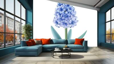 vector graphic of a blue hyacinth flower Wall mural