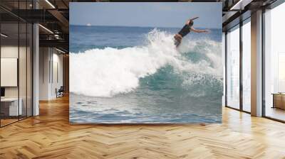 surf Wall mural