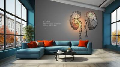 Kidney. Low poly wireframe style. Banner concept, the treatment of urological diseases. Organ transplantation. Abstract illustration isolated on gray dark background. Wall mural