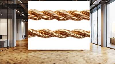 two sets of gold rope isolated on a white or transparent background. twisted twine rope for borders. PNG. 3D illustration Wall mural