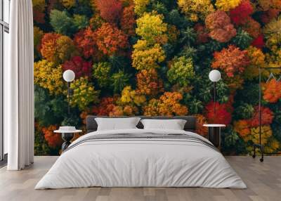 Overhead view of a forest in autumn, showcasing a breathtaking array of fall colors from green to amber Wall mural