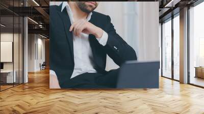 Panoramic portrait of businessman in suit sitting on luxury chair and looking in laptop. Wall mural