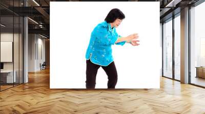 Chinese Woman performs Tai Chi Wall mural