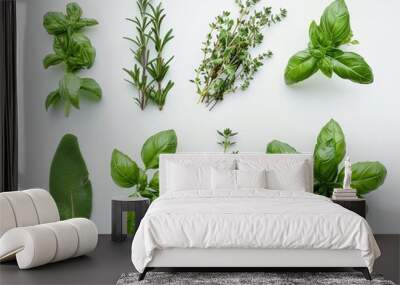  collection of fresh herbs like basil, rosemary, and thyme, arranged in a studio with natural Wall mural