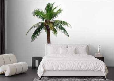 palm tree isolated on transparent png. Wall mural