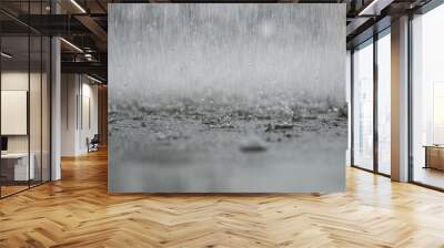 black white abstract background raindrop on the ground Wall mural