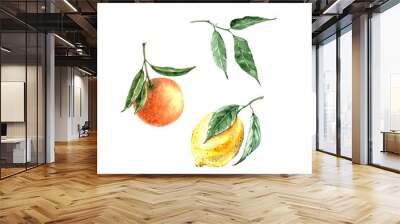 lemon and orange watercolor illustration with green leaves, on white background Wall mural