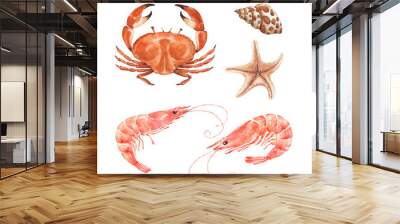 marine set of watercolor illustrations, crab shrimp and shellfish Wall mural