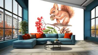 red squirrel on a tree with a branch of a mountain ash and a cone. drawing watercolor Wall mural