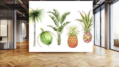 Set of watercolor tropical illustrations of flowers, plants and fruits on a white background. hand painted . Wall mural