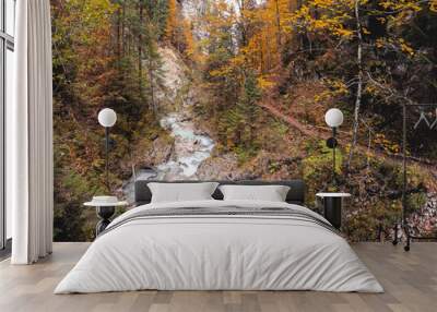 stream in autumn forest Wall mural