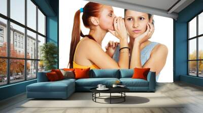 two gossiping girls Wall mural