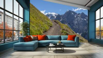 road on slope in alps Wall mural