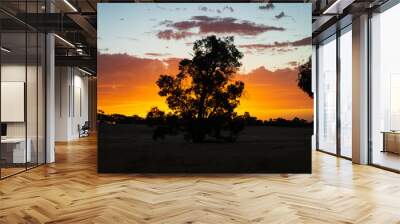 Sunset in Australia Wall mural