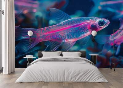 pink tetra fish Wall mural