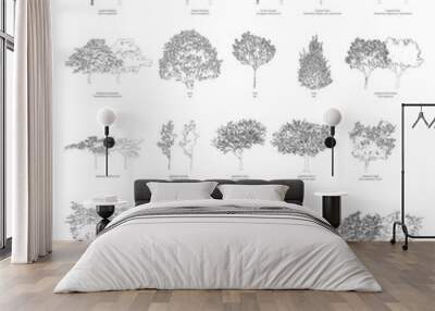 Vector trees with common names and botanical names Wall mural