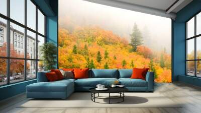 Autumn Fall Maple and Pine Trees with Fog on Mountainside Wall mural