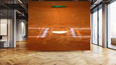 Baseball Homeplate Batter Box Chalk Line Brown Clay Dirt Wall mural