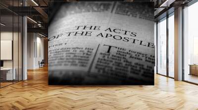 Bible New Testament Christian Gospel Acts of Apostles Wall mural