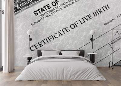 Birth Certificate for Live Baby Born Wall mural