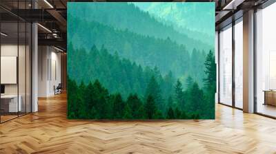 Lush Green Pine Forest in Wilderness Mountains Growth Light Valley Wall mural