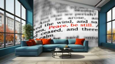 New Testament Scriptures from the Bible Peace be Still Wall mural