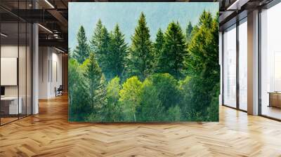 Pine Forest During Rainstorm Lush Trees Green Growth Wall mural