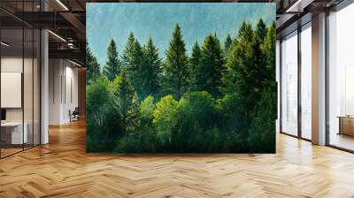 Pine Forest During Rainstorm Lush Trees Wall mural