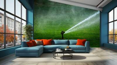 Sprinkler in Park Spraying Water on Lush Green Grass Wall mural