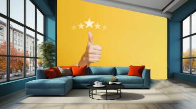 Woman show thumbs up positive feedback, Satisfied lady showing OK gesture, Excellent or good review result concept, Customer giving rating for experience or quality product and service, Opinion survey Wall mural